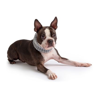 Image showing  Chalet Tube Dog Scarf