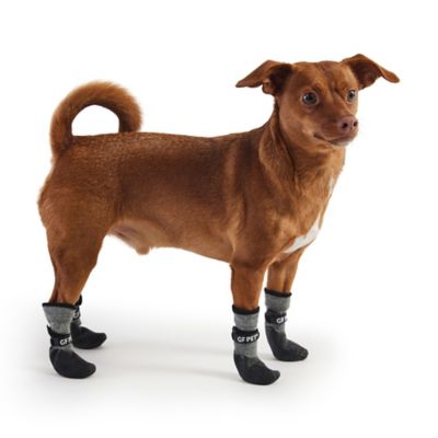Image showing 1 th GF Pet All-Terrain Pet Boots