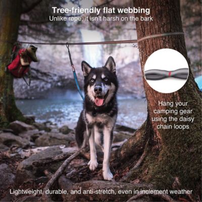 Image showing  Ridgeline Dog Tie Out, 30 ft.