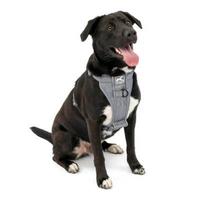 Kurgo Tru-Fit Adjustable Smart Dog Harness Great harness