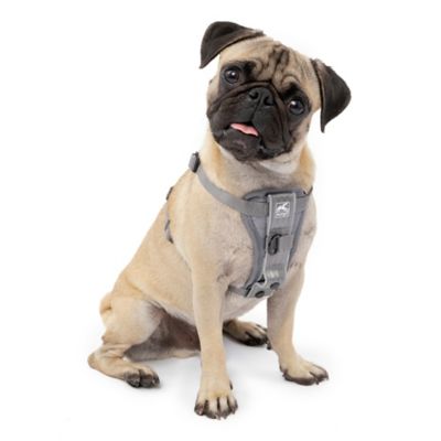 Kurgo Tru-Fit Adjustable Smart Dog Harness