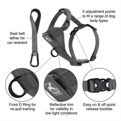 Image showing  Tru-Fit Adjustable Smart Dog Harness
