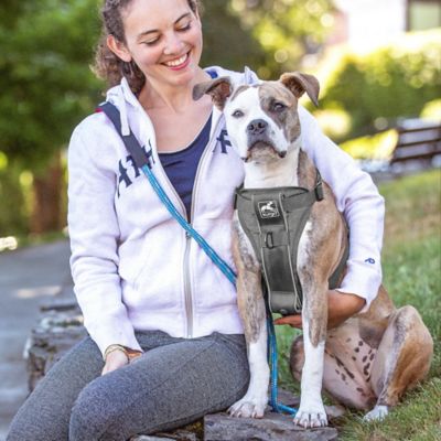 Image showing  Tru-Fit Adjustable Smart Dog Harness