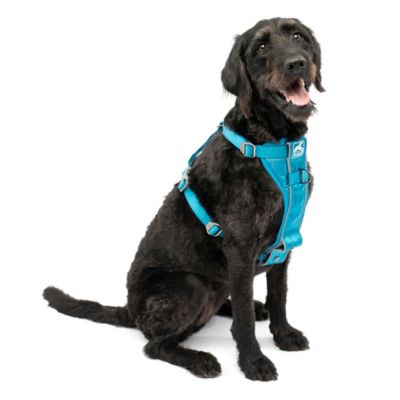 Kurgo Tru-Fit Adjustable Smart Dog Harness