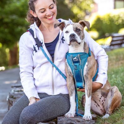 Image showing  Tru-Fit Adjustable Smart Dog Harness