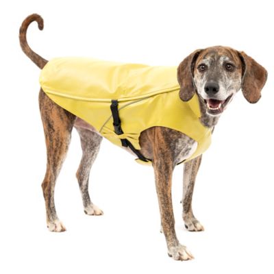 Kurgo Halifax Rain Shell Dog Jacket