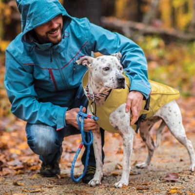 Image showing  Halifax Rain Shell Dog Jacket