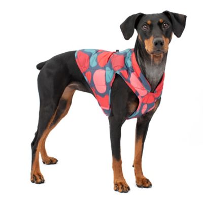 Kurgo Loft Dog Jacket