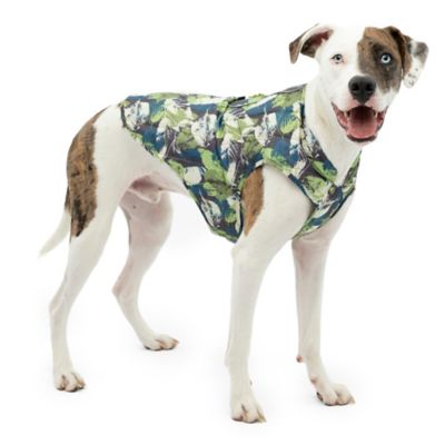 Kurgo Loft Dog Jacket