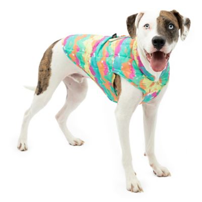 Kurgo Loft Dog Jacket