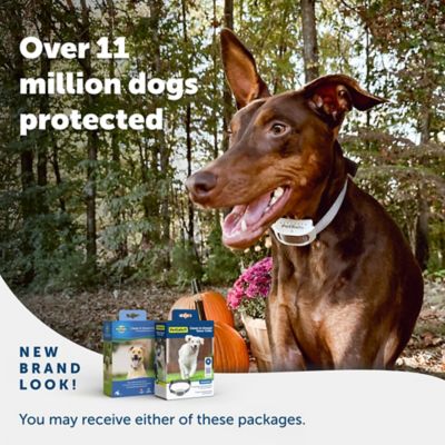 Image showing 6 th PetSafe Classic In-Ground Fence Rechargeable Receiver Collar