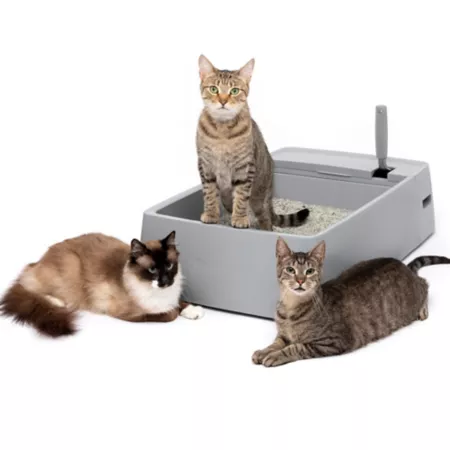 PetSafe Multi-Cat Open Litter Box Open Litter Boxes & Pans