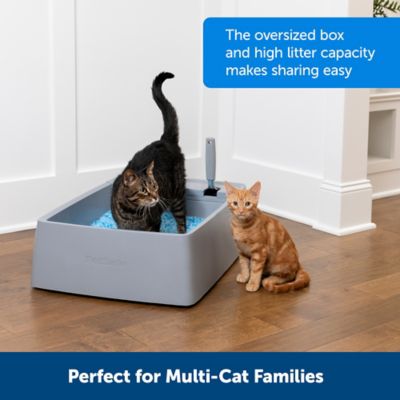 Image showing  Open Multi-Cat Litter Box