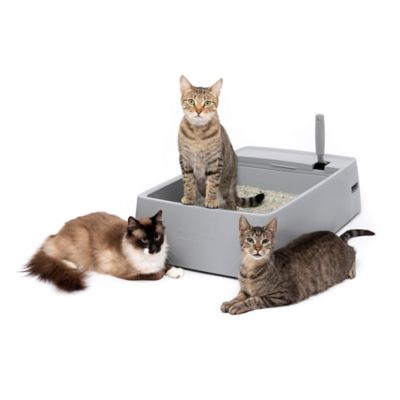 Image showing 6 th PetSafe Open Multi-Cat Litter Box