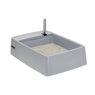 Image showing 7 th PetSafe Open Multi-Cat Litter Box