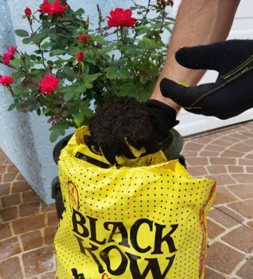 Image showing  1 cu. ft. 100% Cow Manure