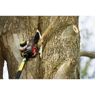 Image showing 5 th Troy-Bilt TB25PS 8 in. 25cc Gas Pole Saw