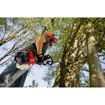 Image showing 6 th Troy-Bilt TB25PS 8 in. 25cc Gas Pole Saw