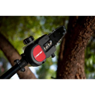 Image showing 7 th Troy-Bilt TB25PS 8 in. 25cc Gas Pole Saw