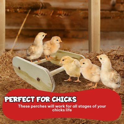 Image showing  Chick Perch Roosting Bars for Poultry Brooder and Chicken Coop, 2-Pack, Made in USA