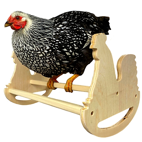 Backyard Barnyard Chicken Rocking Roosting Perch for Poultry Coop and Chick Brooder, (3 Bar) Made in USA