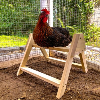 Image showing  XL Chicken Perch Roosting Bar Ladder