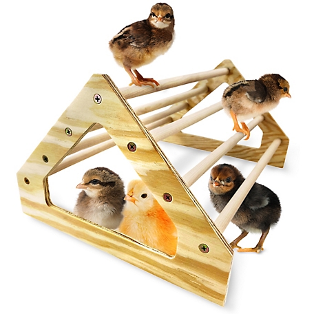 Backyard Barnyard Chick Perch Roosting Bar Toy for Chicks Brooder Box MADE IN USA