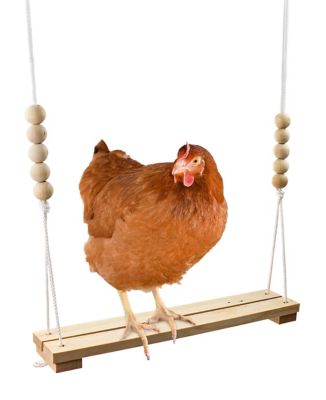 Backyard Barnyard Chicken Swing Roosting Bar Perch Poultry Toy for Coop and Run, Made in USA