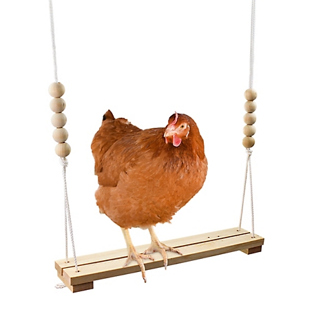Backyard Barnyard Chicken Swing Roosting Bar Perch Poultry Toy for Chicken Coop and Run, Made in USA