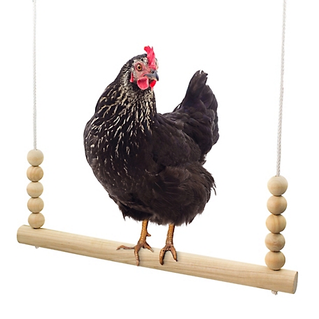 Backyard Barnyard Chicken Swing Roosting Bar Perch Poultry and Bird Toy for Coop and Run, Made in USA