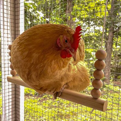 Image showing  Round Chicken Swing Roosting Bar Perch