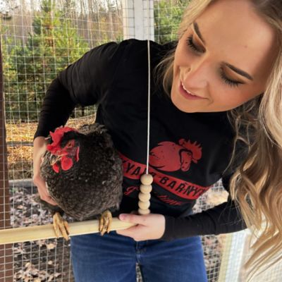 Image showing 6 th Backyard Barnyard Round Chicken Swing Roosting Bar Perch