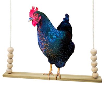 Backyard Barnyard Chicken Bird Swing, Flat Bar, Made in USA