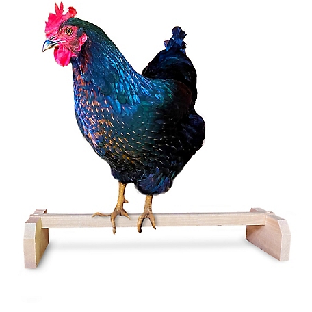 Backyard Barnyard Chicken Roosting Bar Perch for Poultry Coop, Made in USA