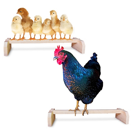 Backyard Barnyard Chicken Roosting Bar Perch for Poultry Coop or Chick Brooder, (2 Pack) Made in USA