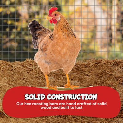 Image showing  Chicken Roosting Bar Perches for Poultry Coop or Chick Brooder, 2-Pack