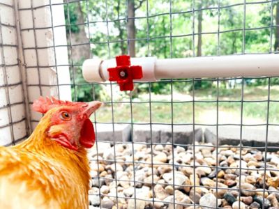 Image showing 6 th Backyard Barnyard Horizontal Chicken Water Nipple Kit, 6-Pack