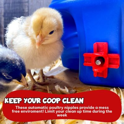 Image showing  Horizontal Chicken Water Nipple Kit, 12-Pack