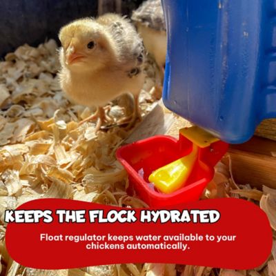 Image showing  NO Peck Vertical Poultry Cup Drinker, 4-Pack