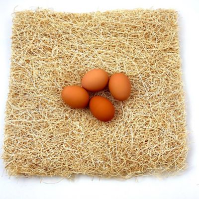 Image showing 8 th Backyard Barnyard Fiber Chicken Nesting Box Pads for Coop Laying Hens, Made in the USA, 13 in. x 13 in., 6-Pack