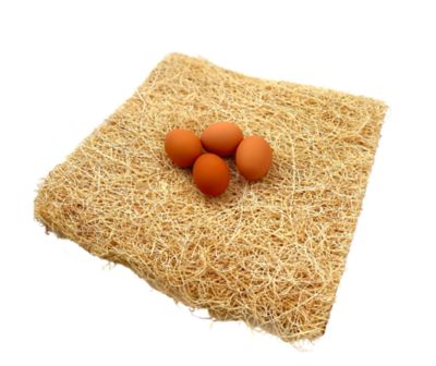 Backyard Barnyard Chicken Nesting Box Pads for Poultry Coop Laying Hens , Made in USA, 13 x 13in., 40-Pack