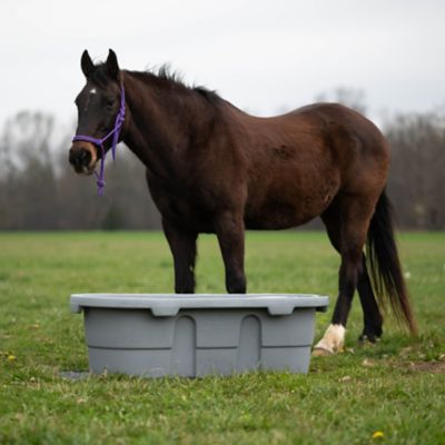 Image showing 6 th Neat Distributing 50 gal. Century Poly Stock Tank without Plug, 2 ft. x 1 ft. x 4 ft.