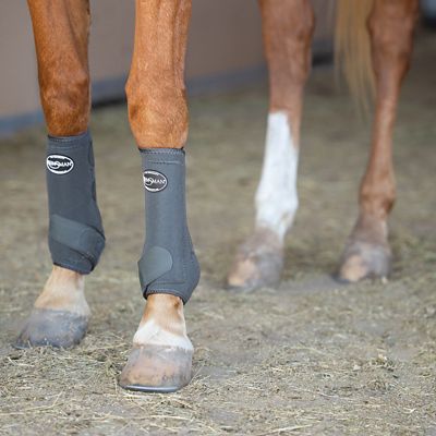 Image showing 2 th Reinsman Sport Bell Boots, 1 Pair, 9127-SM-RD