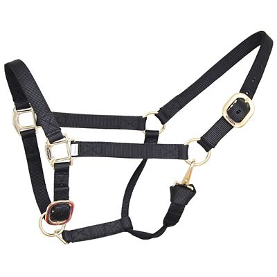 Image showing  Nylon Classic Horse Halter, 1 in.