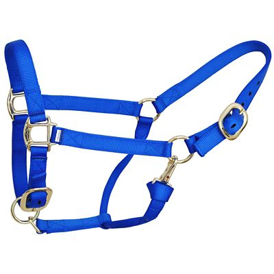 Reinsman Nylon Classic Horse Halter, 1 in.