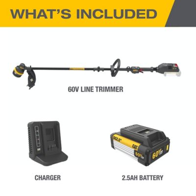 Image showing  15 in. 60V Straight Shaft Cordless String Trimmer, Battery and Charger Included