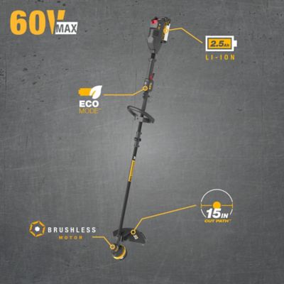 Image showing  15 in. 60V Straight Shaft Cordless String Trimmer, Battery and Charger Included