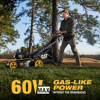 Image showing 8 th CAT 15 in. 60V Straight Shaft Cordless String Trimmer, Battery and Charger Included