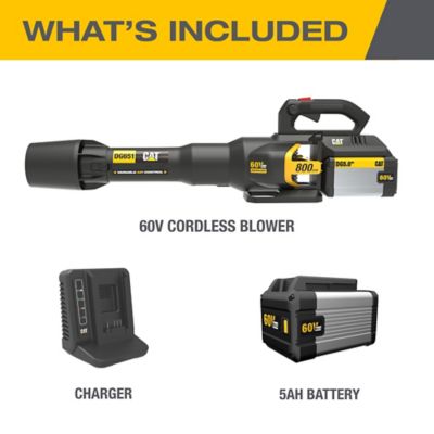 Image showing  170 MPH/800 CFM 60V Cordless Handheld Leaf Blower, Battery and Charger Included