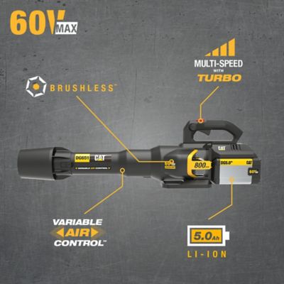 Image showing 5 th CAT 170 MPH/800 CFM 60V Cordless Handheld Leaf Blower, Battery and Charger Included